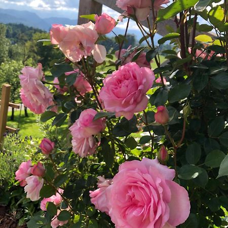 Apartma Rosa Spodnji Otok 外观 照片